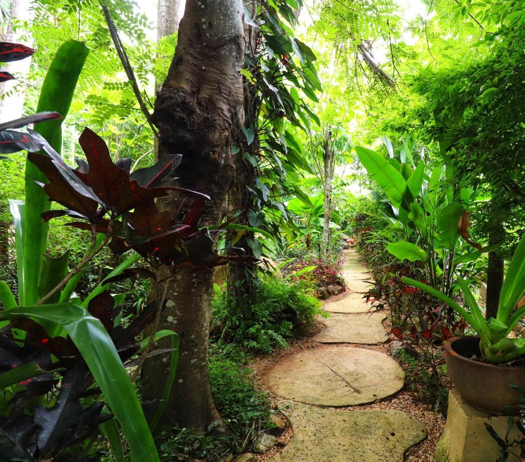Whitsundays Bnb Retreat Airlie Beach Εξωτερικό φωτογραφία
